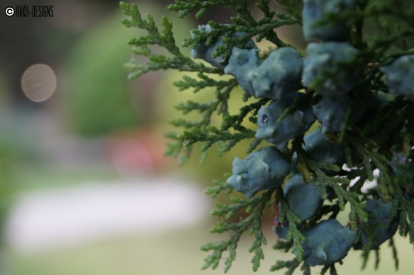 No nos caigamos hermanas...