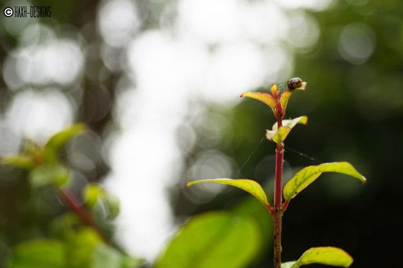 ¡Qué sueño tengo!