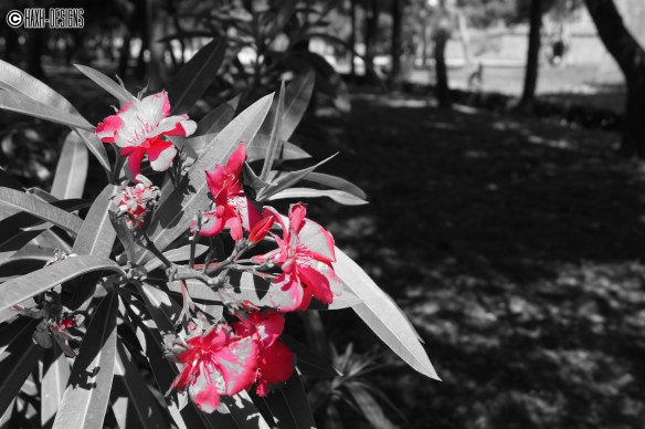 ¡Brillemos como ese semáforo!